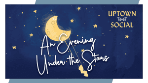 An Evening Under the Stars